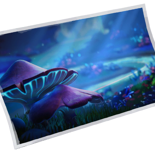 Niteshroom Valley