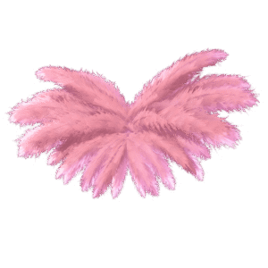 Madison’s Angel Wings