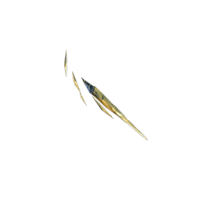 Gilded Splinter