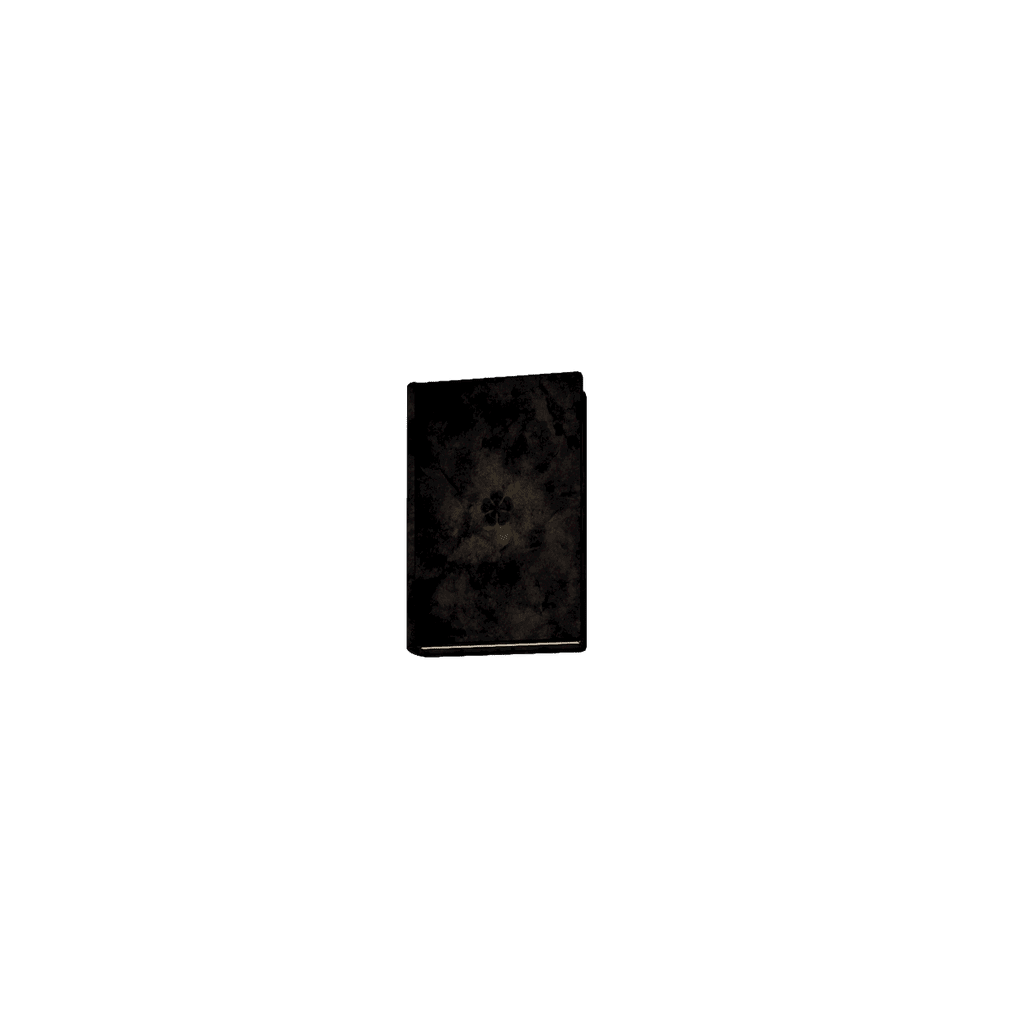 Asta’s Grimoire